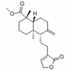 红松内酯分析标准品,HPLC≥98%