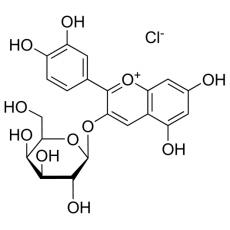 矢车菊素半乳糖苷分析标准品,HPLC≥97%