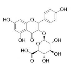 山奈酚葡萄糖醛酸苷分析标准品,HPLC≥98%
