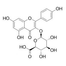 山奈酚葡萄糖醛酸苷分析标准品,HPLC≥98%