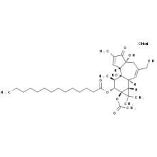 佛波醇12-十四酸酯13-乙酸酯分析标准品,HPLC≥98%