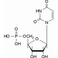 5-尿苷一磷酸超纯，98%