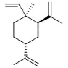 β-榄香烯化学对照品(0.1ml)