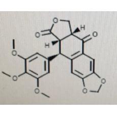 苦鬼臼脂毒酮分析标准品,HPLC≥98%