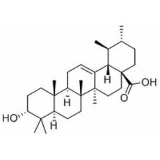 3-表熊果酸分析标准品,HPLC≥98%