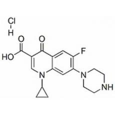 盐酸环丙沙星分析标准品,HPLC≥98%