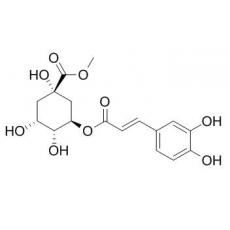 3-咖啡酰奎尼酸甲酯分析标准品,HPLC≥98%