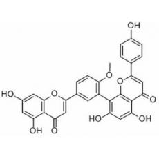 白果双黄酮分析标准品,HPLC≥95%