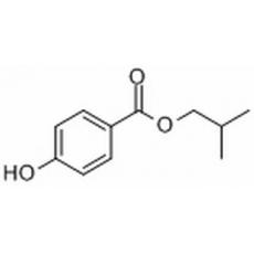 尼泊金异丁酯分析标准品,HPLC≥98%