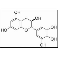 没食子儿茶素分析标准品,HPLC≥98%
