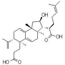茯苓酸B分析标准品,HPLC≥95%