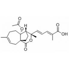 土荆皮甲酸分析标准品,HPLC≥98%