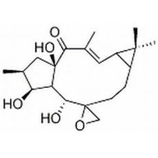 环氧续随子醇分析标准品,HPLC≥98%