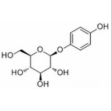 熊果苷（β型）分析标准品,HPLC≥98%