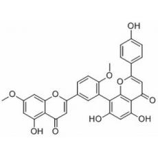 银杏双黄酮分析标准品,HPLC≥98%