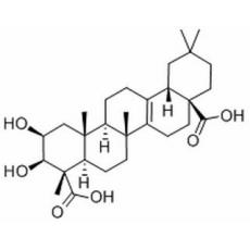 远志酸分析标准品,HPLC≥98%