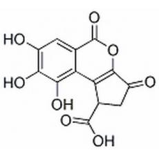 短叶苏木酚酸分析标准品,HPLC≥98%