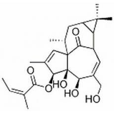 巨大戟醇-3-O-当归酸酯分析标准品,HPLC≥98%