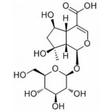 山栀苷分析标准品,HPLC≥95%