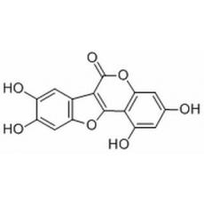 去甲蟛蜞菊内酯分析标准品,HPLC≥98%