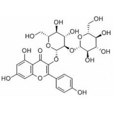 山奈酚-3-O-β-D-槐糖苷分析标准品,HPLC≥98%