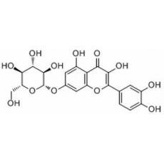 槲皮素-7-O-葡萄糖苷分析标准品,HPLC≥98%