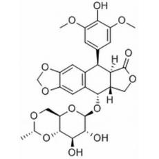 依托泊苷分析标准品,HPLC≥98%
