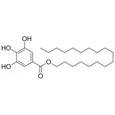 没食子酸十八酯98%