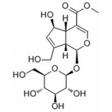鸡矢藤次苷甲酯分析标准品,HPLC≥95%