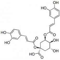 1,3-二咖啡酰奎宁酸（洋蓟素）分析标准品,HPLC≥98%