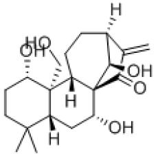 尾叶香茶菜丙素分析标准品,HPLC≥98%