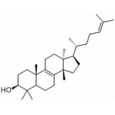 大戟二烯醇分析标准品,HPLC≥98%