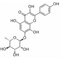 草质素苷分析标准品,HPLC≥98%