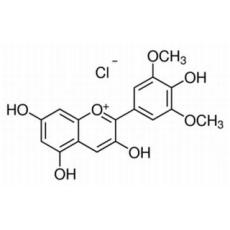 锦葵色素分析标准品,HPLC≥97%