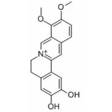 去亚甲基小檗碱分析标准品,HPLC≥96%