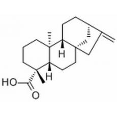 异贝壳杉烯酸分析标准品,HPLC≥98%