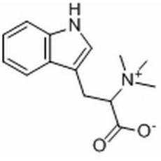 刺桐碱分析标准品,HPLC≥98%