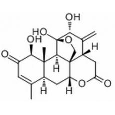 臭椿酮分析标准品,HPLC≥98%
