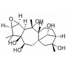 闹羊花毒素III分析标准品,HPLC≥98%