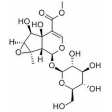 胡麻属苷分析标准品,HPLC≥98%