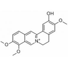 非洲防己碱分析标准品,HPLC≥98%