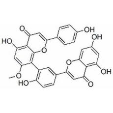 苏铁双黄酮分析标准品,HPLC≥98%
