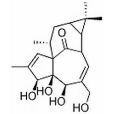 巨大戟醇分析标准品,HPLC≥98%