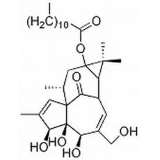 正十二烷酸巨大戟酯分析标准品,HPLC≥98%