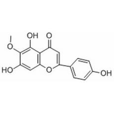 高车前素分析标准品,HPLC≥98%