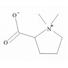 盐酸水苏碱分析标准品,HPLC≥98%