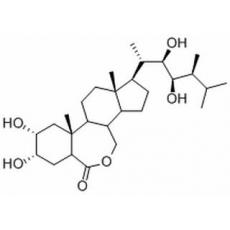 芸苔素内酯分析标准品,HPLC≥95%