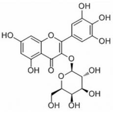 杨梅素-3-O-半乳糖苷分析标准品,HPLC≥98%