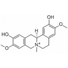 黄柏碱分析标准品,HPLC≥98%