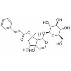 哈巴俄苷分析标准品,HPLC≥98%